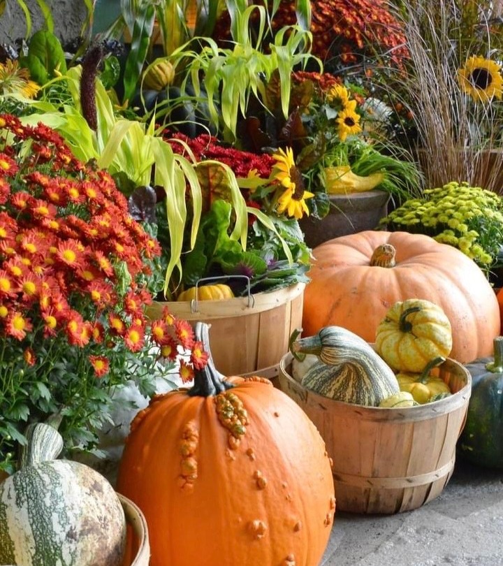Gardens_BC's tweet photo. Fall is a beautiful time to visit The Butchart Gardens. Cooler temperatures are transforming the maples in the Japanese Garden into vibrant shades of orange, red and gold. Autumn Displays are on now until October 31st 🍂

@ButchartGardens #exploreVictoria #exploreBC #GardensBC https://t.co/9WIyA3ZGOO