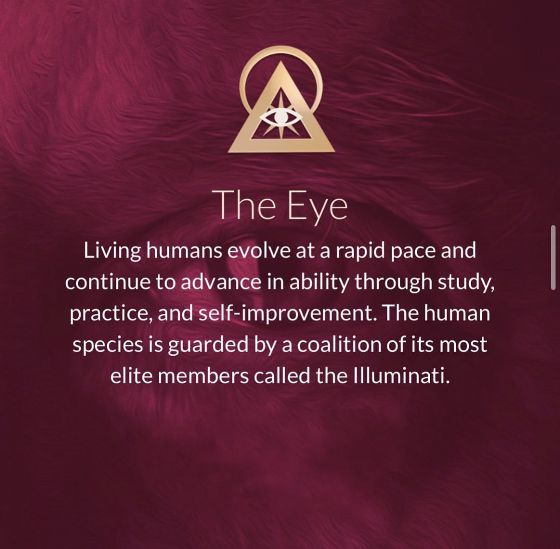 StevenHawk684's tweet image. Follow the light 🔺