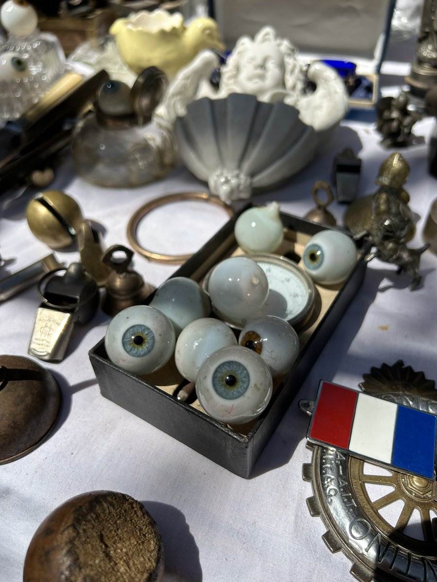 Daisy Shu (she/her/hers) tweet media