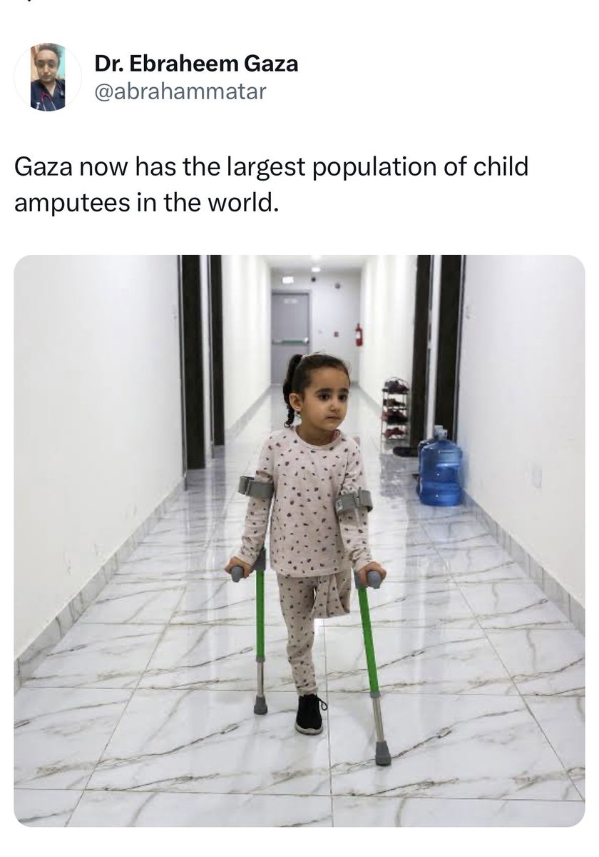 Laila Al-Arian (@lailaalarian) on Twitter photo 