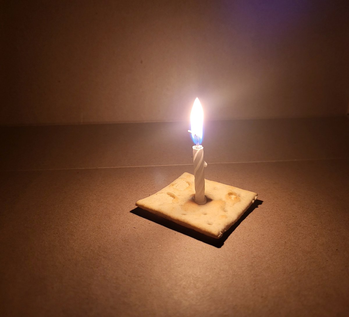 this is easily the best photo I've ever taken of a saltine cracker, enjoy my creation