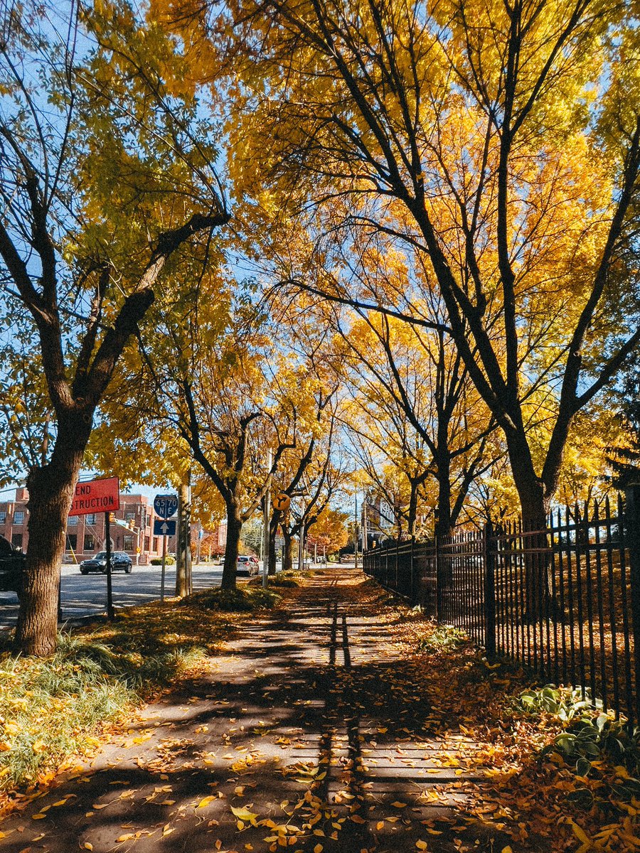 ItsBryanLP's tweet image. Fall 🍂