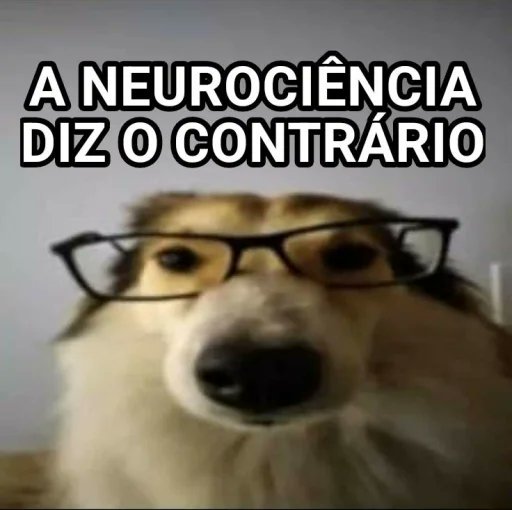 Douglas Farias tweet media