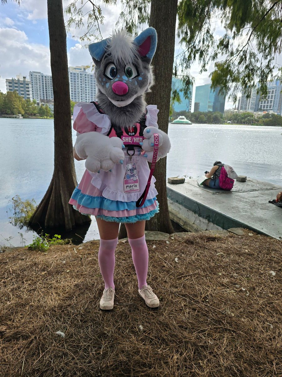 Had an incredible time at Orlando Pride yesterday! Surrounded by friends and positivity, couldn't have asked for a better experience. Reposted because one of the pictures was borked
#furry #PrideOrlando #ComeOutWithPride