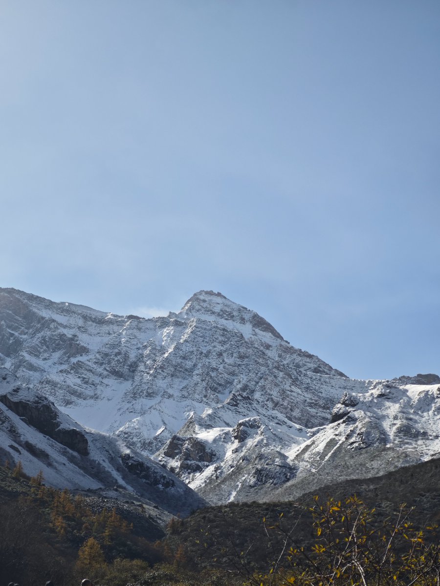 JukaOptical tweet picture