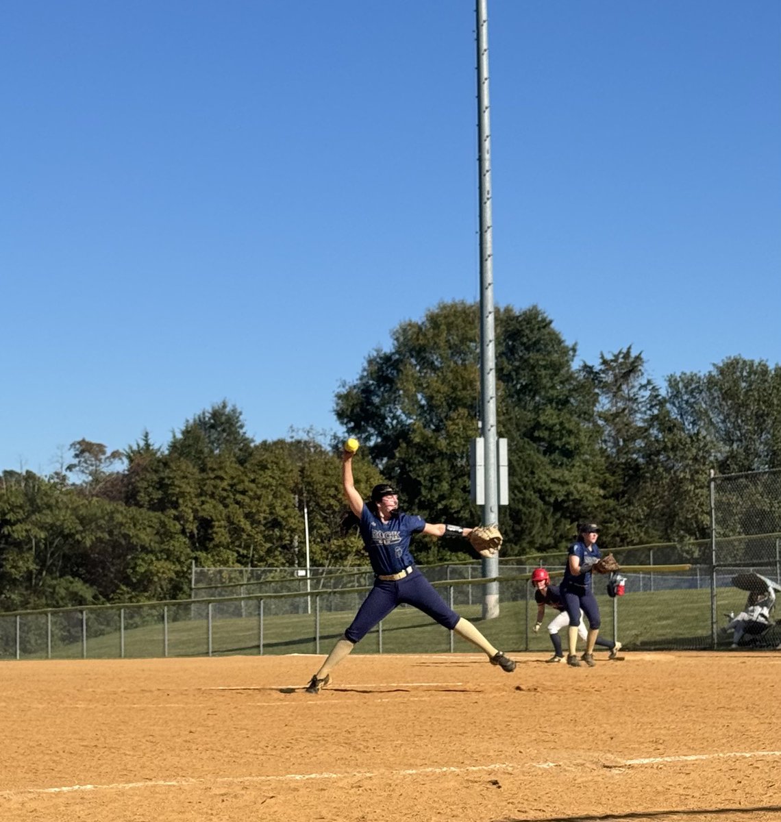 Rock Gold VA 18U Buchanan/Sable tweet media