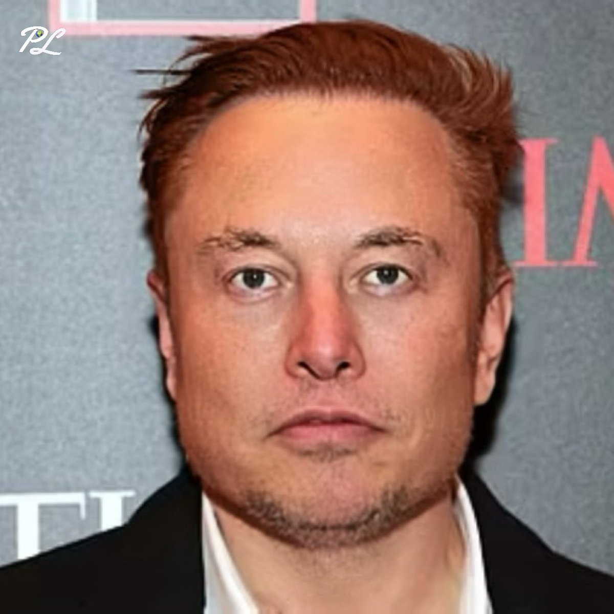 Popular Liberal 🇺🇸 tweet media