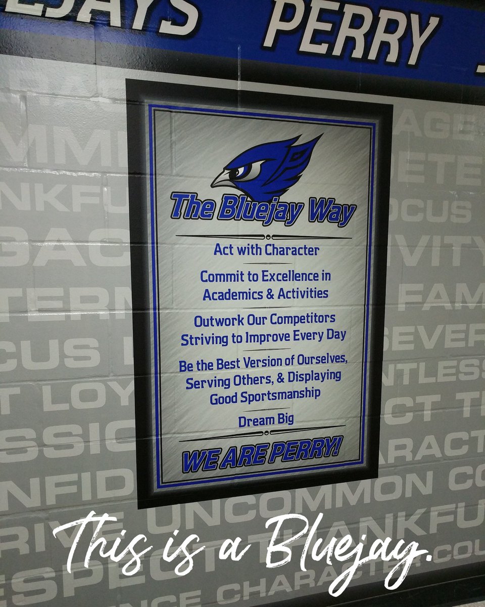 The Bluejay Way tweet media