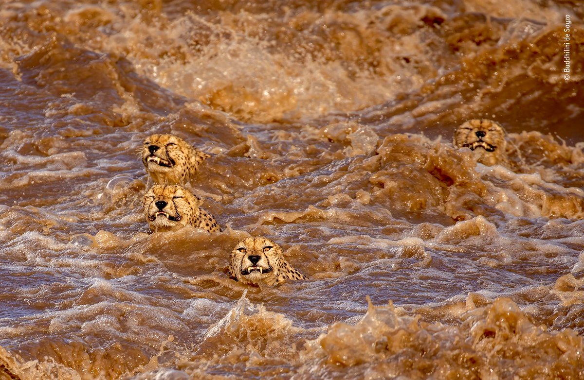 runquasimodo's tweet image. 25lb ruck w/dip complete #DuesPaid #NoWater