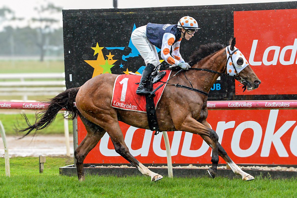 StableConnect tweet media