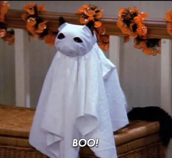 deedee_chan_142's tweet photo. 👻
Ushka (#mimi): Boo!
Now #ushka is in spooky mode :v!
Who knows how #doctormasacrik will respond when he sees her like that, he might say she looks adorable or ridiculous o-o
👻
#psychocuties  #Психоняшки #Memes #TAMAKUZ #масакрик #ушко #Gatos #Masacrik #spookymonth #spookymode https://t.co/4ieUvyH8Kr