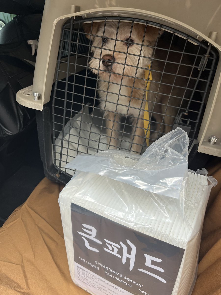 잘가 귀리!!! 이동봉사자님 <a href="/dadidahaswings/">다디다</a> 고생해주셔서 감사합니다 🙇‍♀️🙇‍♀️🙇‍♀️