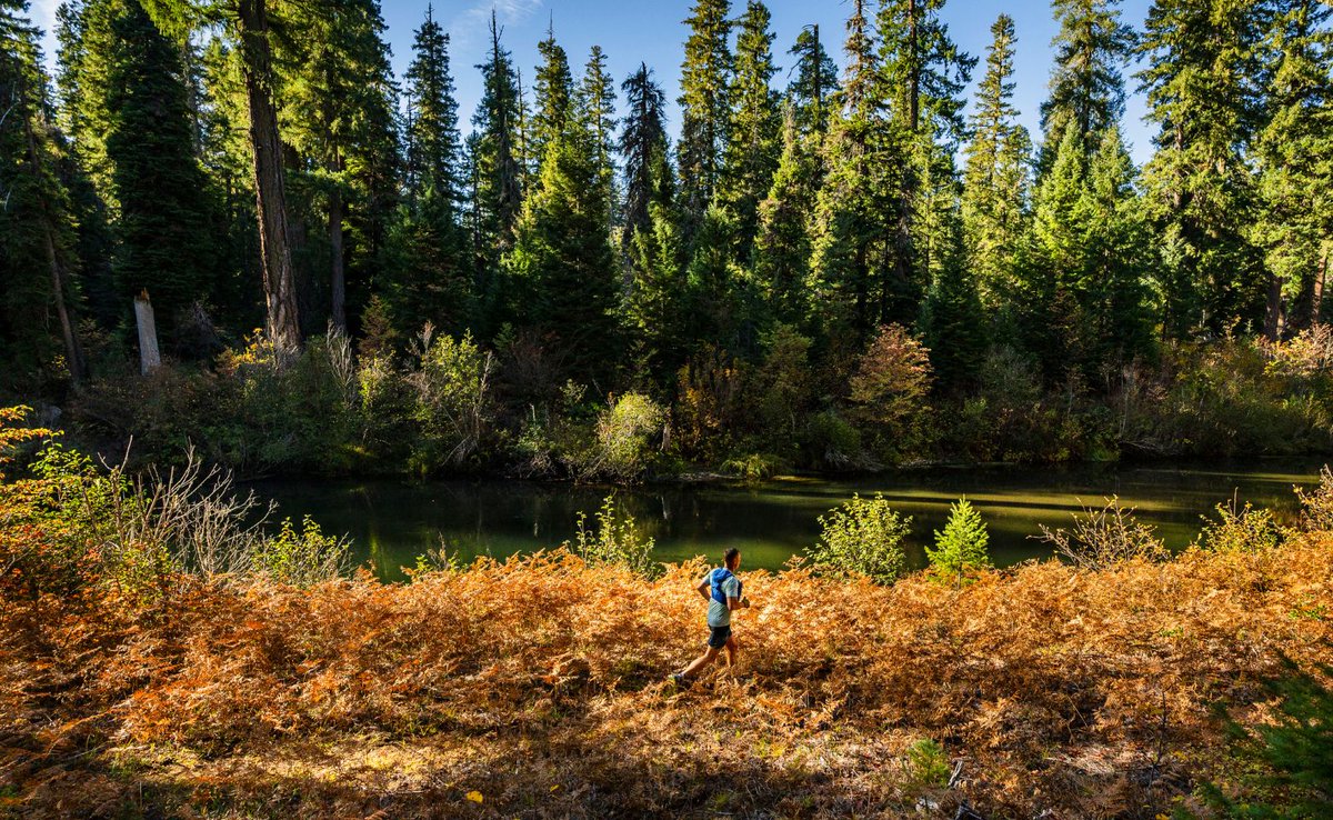 enduRUNce.com : Ultra Weekend Recap — October 20 dlvr.it/TFYFsw