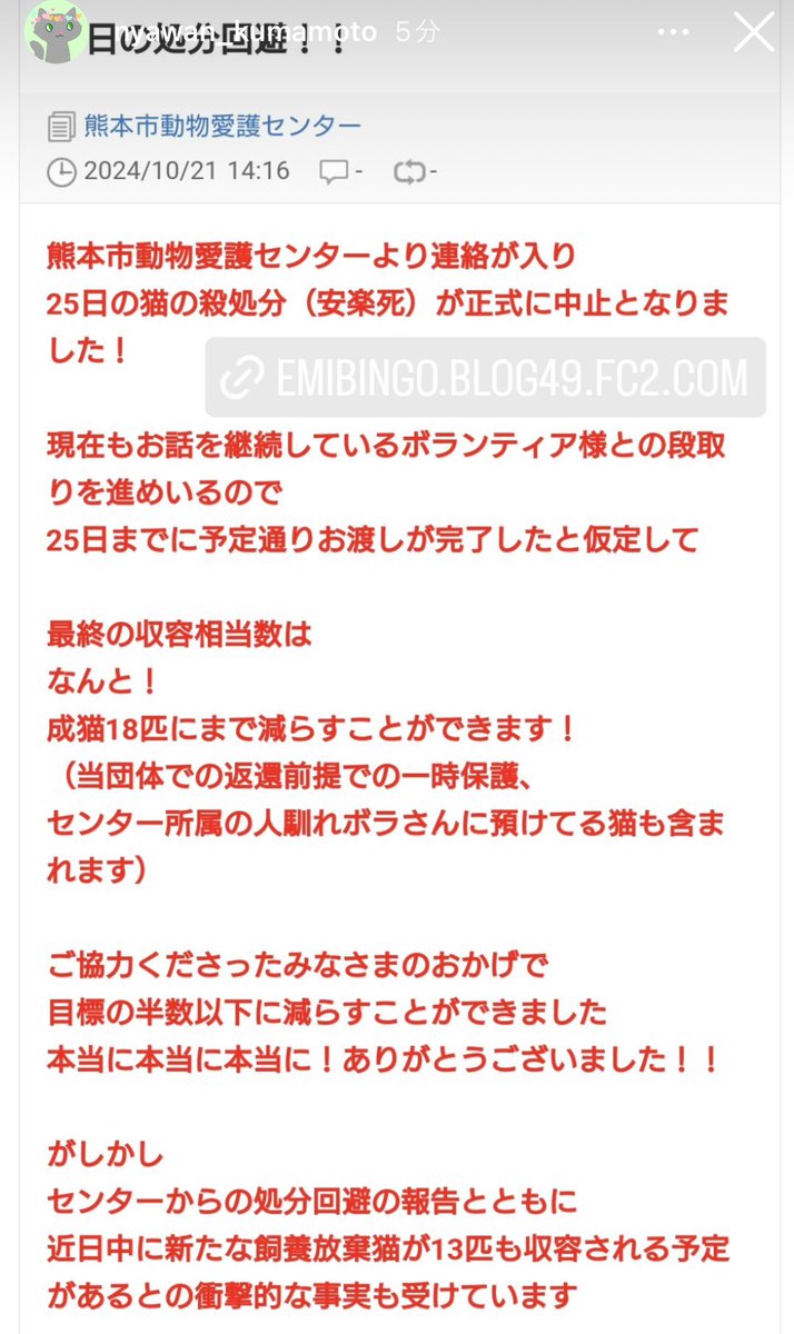 aims2koz's tweet photo. 【朗報】
熊本市動物愛護センターの10/25の殺処分は中止になったそうです😭よかったー！皆様、拡散などのご協力ありがとうございました🙇‍♀️詳しくはにゃわんさんのブログよりご覧ください⬇️
https://t.co/w8CWjByOzG https://t.co/lk6o30ccB9