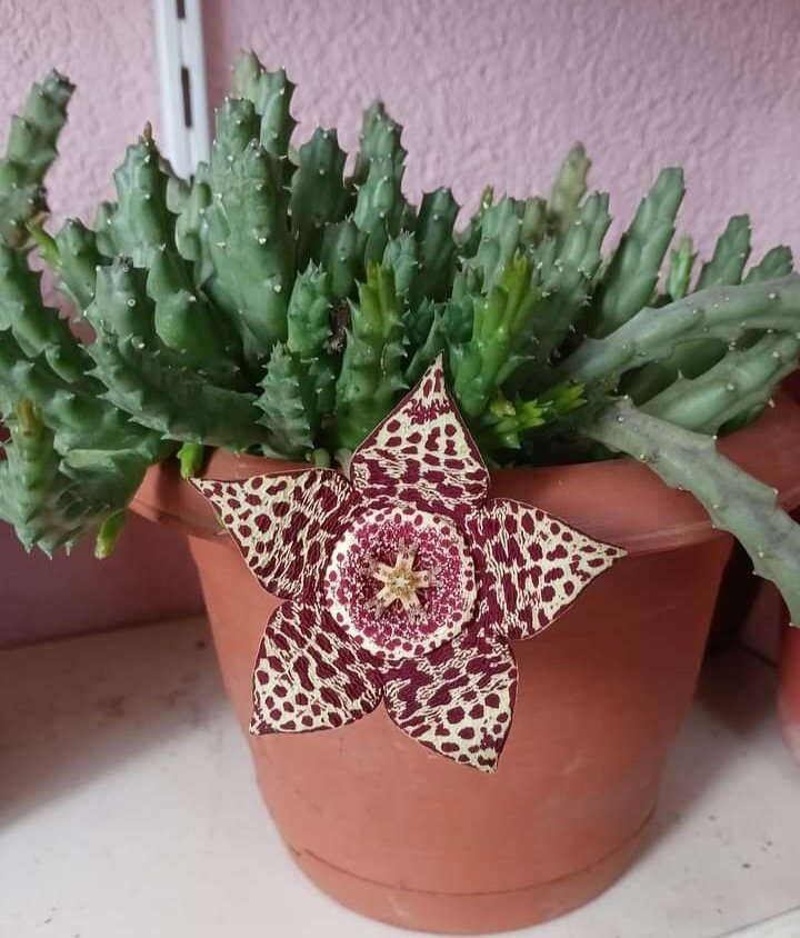 Yeni hafta..

Yüreğimizden geçen tüm
Güzellikleri çıkarsın karşımıza..

#Günaydın