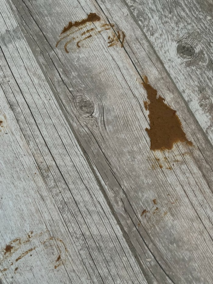 FecesLoversClub's tweet photo. 💩FECES MESS💪 FUCK YESSSS💩

I push out this sexyyyy🔥🔥🔥 fucking Feces💩, creamy as fuck in the ass🥵, piece fell out😱 and I step on it by accident and smear Feces💩 all over the floor

Lick👅 that Feces💩 right up tongue👅 and mouth full🫃 Fuck yes Feces💩 https://t.co/z7Wh3R2wyT