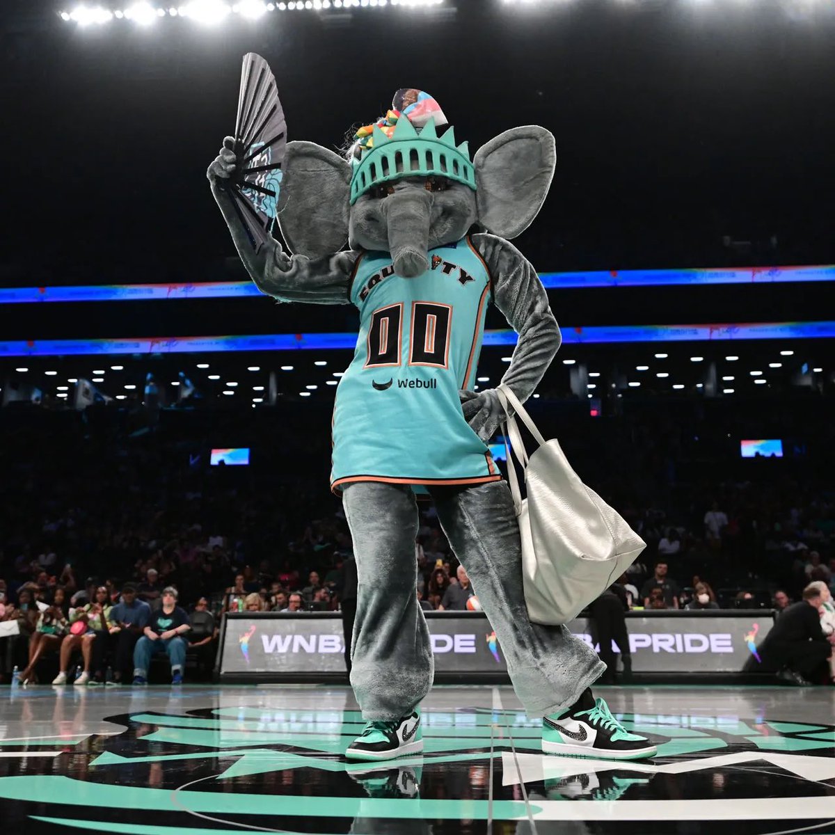 Congrats to this WNBA champion🔥🏆