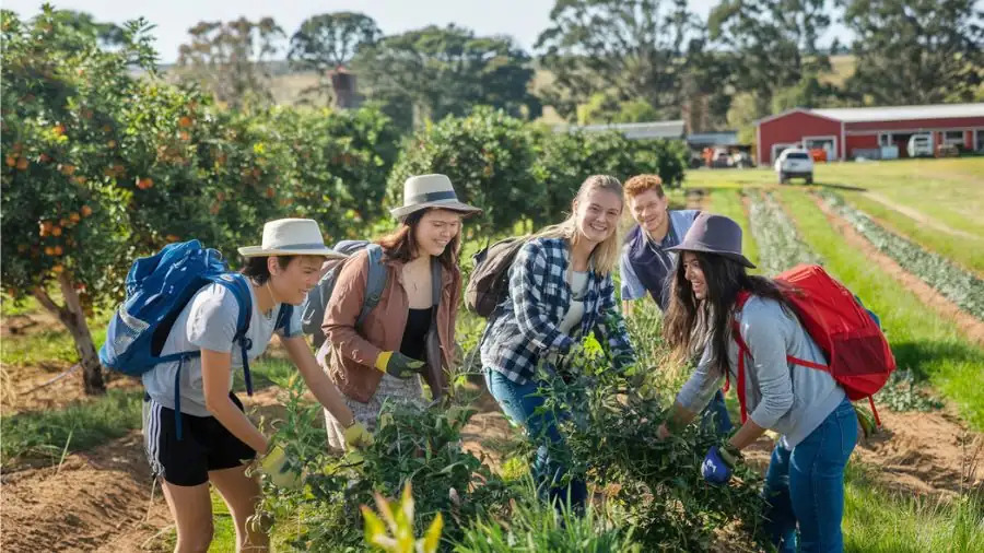 GDU's tweet photo. Proposed changes to Australia’s Working Holiday Visa could ease requirements for travellers but could also hit rural communities. We explore the benefits and challenges of the change. #australiatravel #farmjobs #ruralwork #visachanges #WHV
https://t.co/BvJqqFyAz1 https://t.co/zwL4Zv7mQe