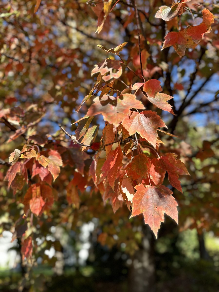 Megan Quigley (@quigleymm) on Twitter photo  Megan Quigley (@quigleymm) on Twitter photo