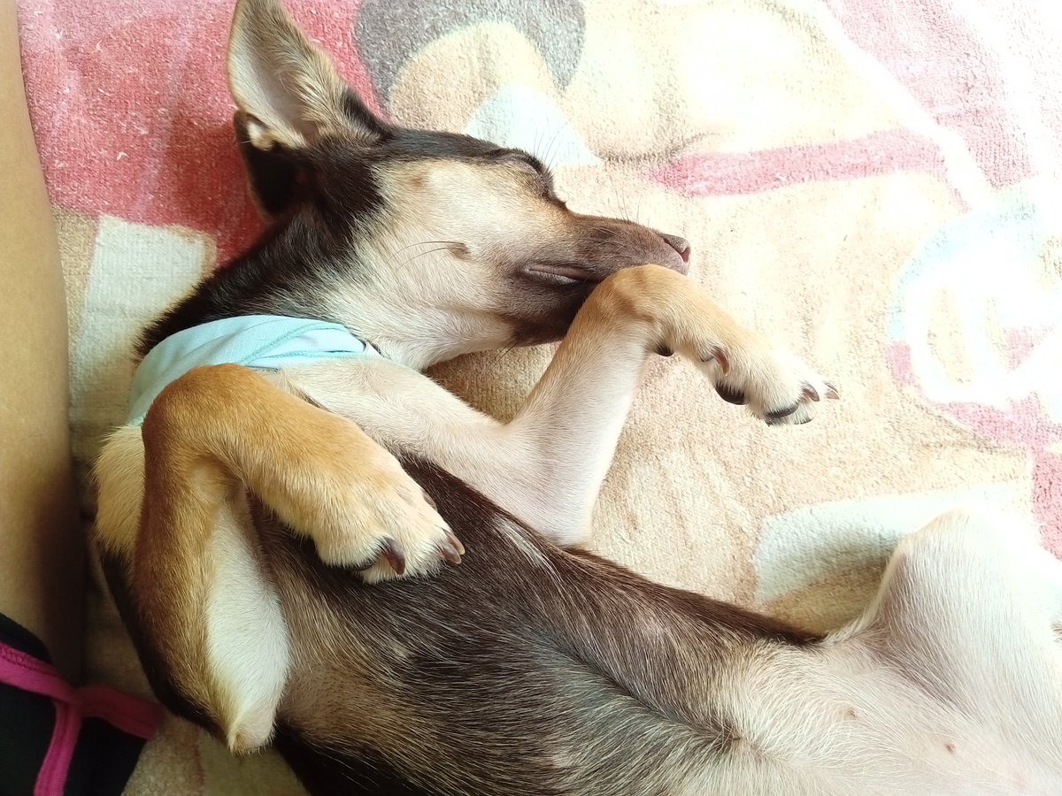 Buenas noches 💤💤💤 
Good night ✨🌟🌌