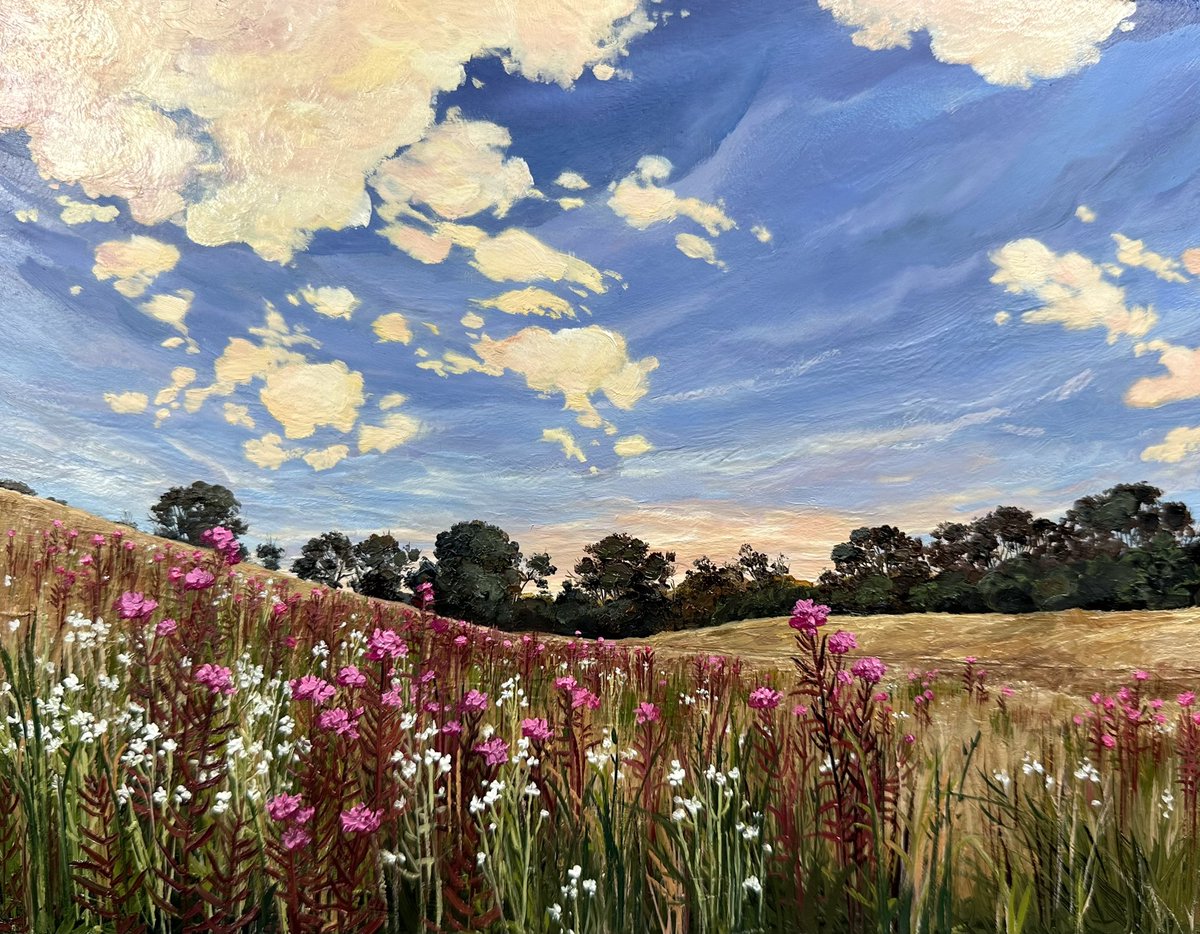 tagsalegirl's tweet photo. Really poured my heart into this one.
‘September Wildflower Field at Sunset’
Yorkshire
7.5x9.5” oil on board
Available! https://t.co/yEGMxGqcU9