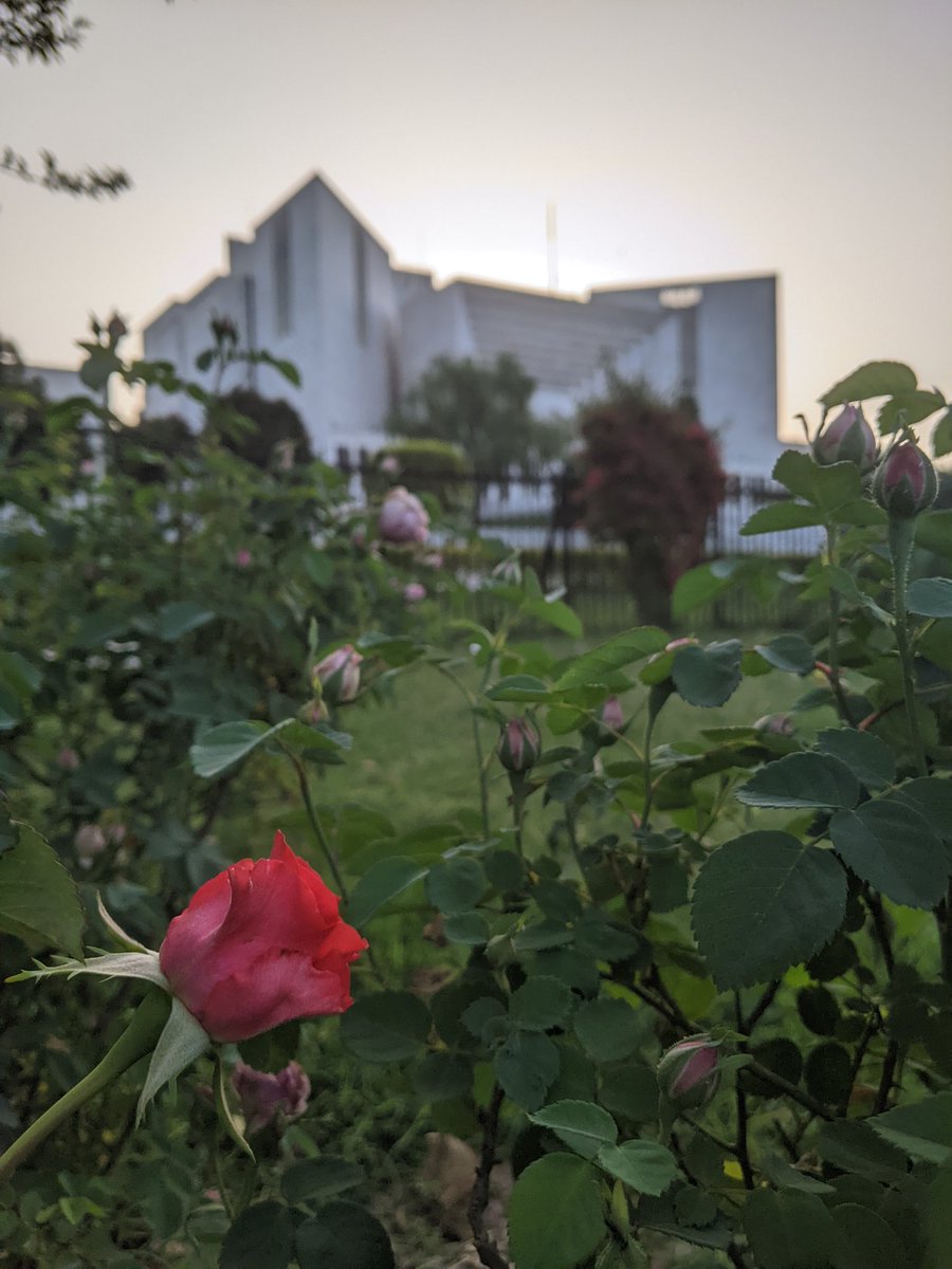 #26thConstitutionalAmendment