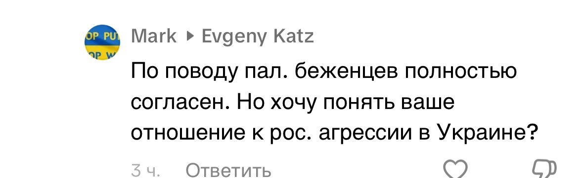 Возник риторический вопрос - в комментарии к одному моему видео в тиктоке прилетело вот это? Как правильно охарактеризовать?
