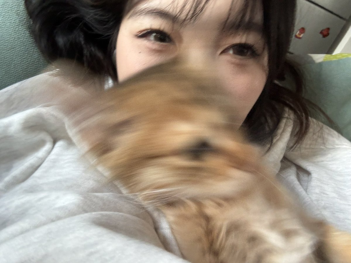 一些强制爱老母亲