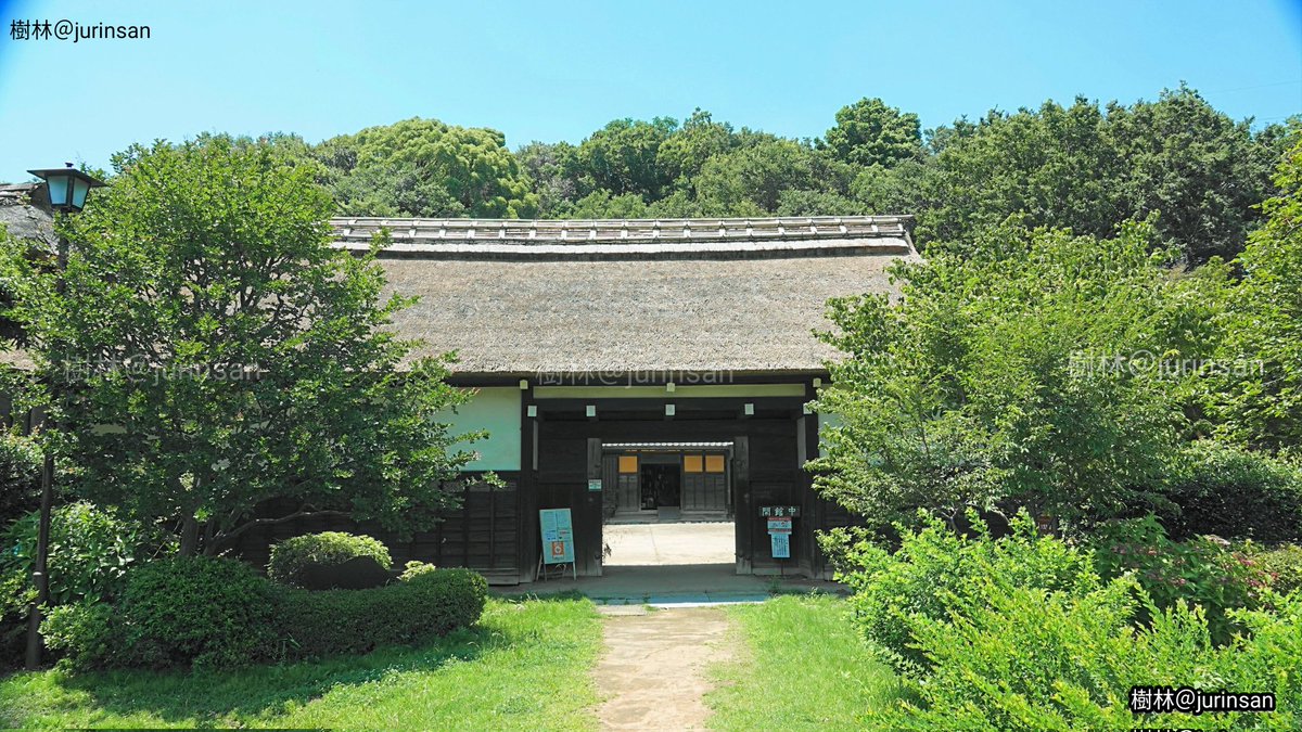 winchangyo's tweet photo. みその公園「横溝屋敷」は神奈川県横浜市鶴見区にある江戸時代からの主屋・長屋門・蚕小屋・穀蔵・文庫蔵など5棟の建���をそのまま修復し、当時の農村生活を物語る品々を展示している見学施設です。
緑豊かな景観や田畑も含め江戸時代の農村の生活を身近に感じる事ができます。入場料は現在無料です🌿 https://t.co/sTKpfUjDmL
