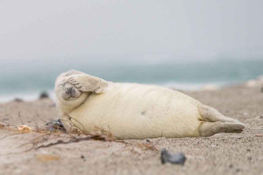 D'OH! I forgot to take my 'fishes casserole' out of the oven!! =( TᴥT )= A rookie mistake!!