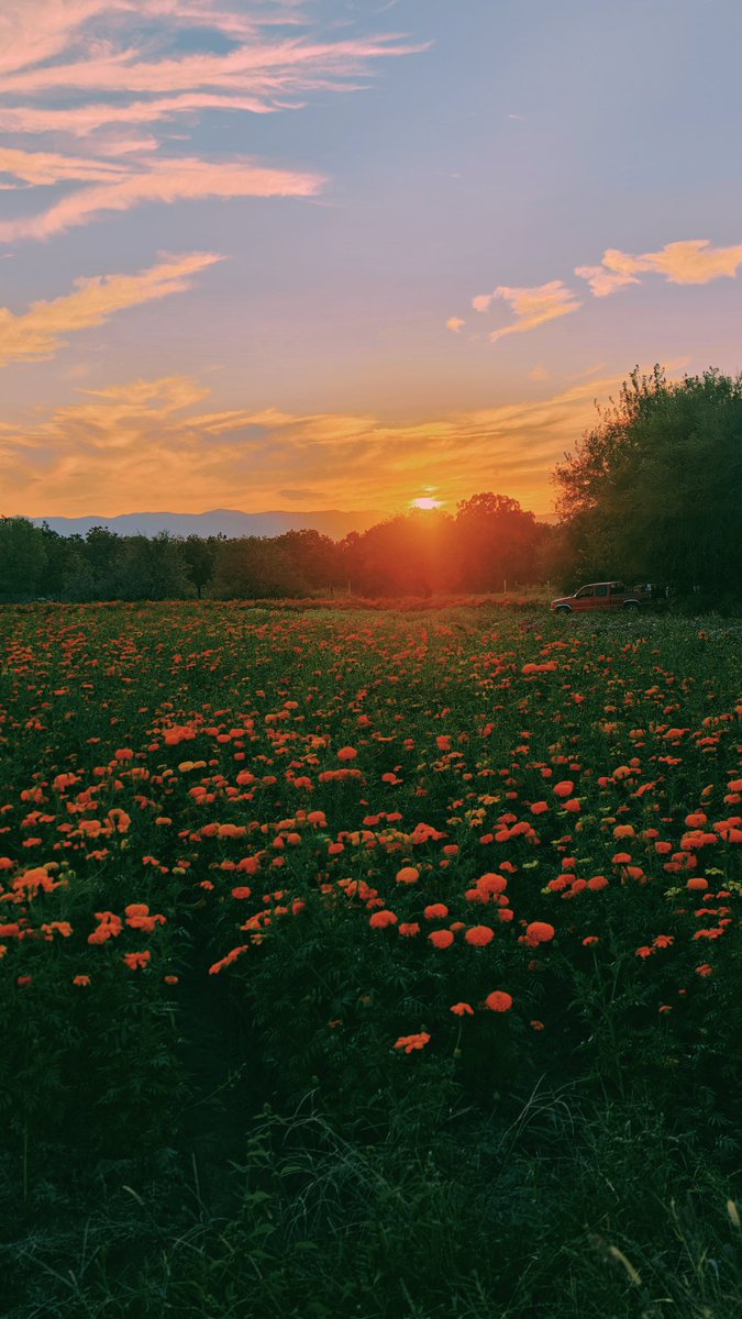 Pictures (@lafotodeldia_) on Twitter photo 