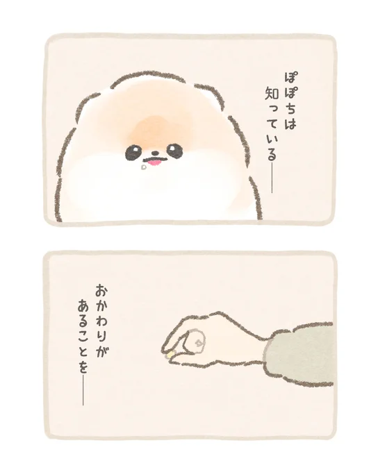 「ちょーだい」
#ふわふわポメのぽぽち 15話 3/3 