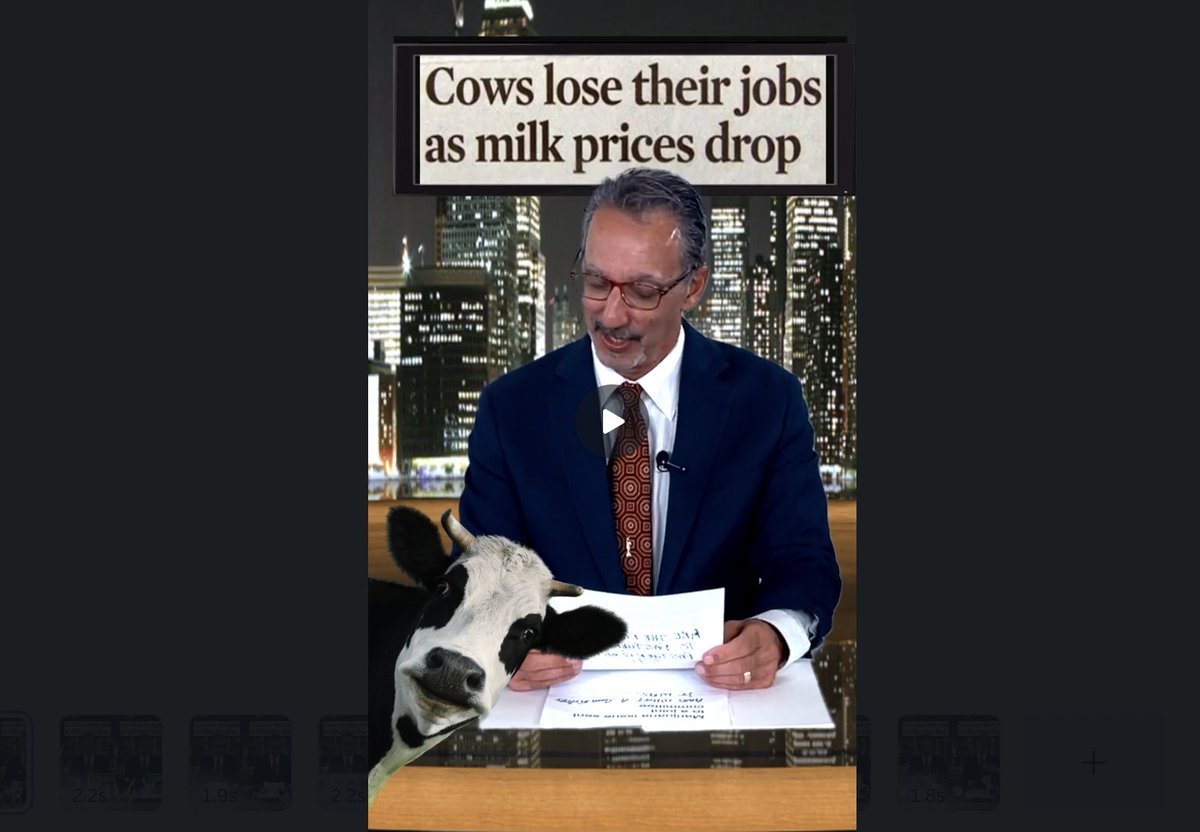 REAL News Headline:

Cows lose their Jobs 🐄 as MILK prices drop!!

watch youtu.be/txVTKWn5YHA?si…
#comedy #funny #shortvideo