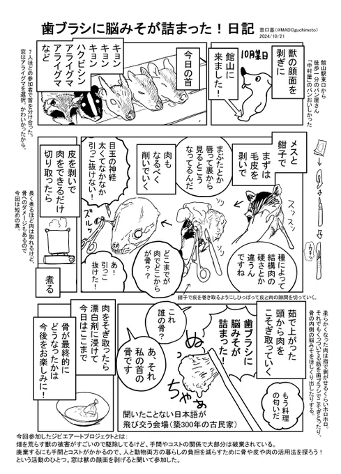歯ブラシに脳みそが詰まった!日記 