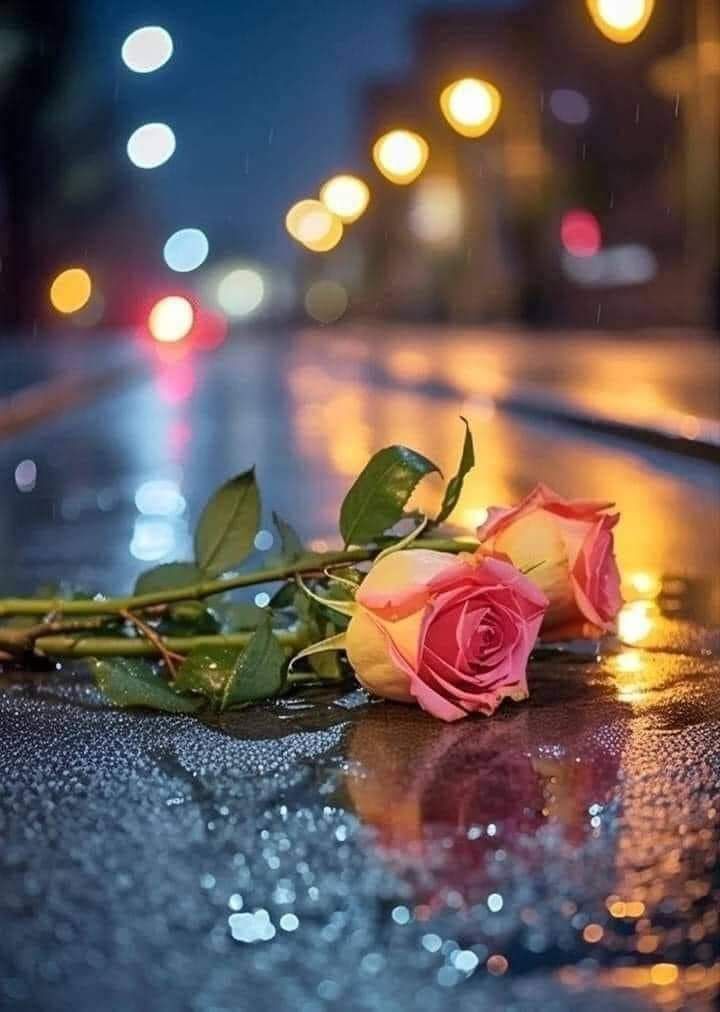 mahawi2345's tweet photo. "الأبتعاد لا يعني أني أكرهك، ولا يعني بأني لا أحبك، أبتعدت لأني أحببتك كثيراً ولا أُريد أن أراك توذي قلبي، فأصبحت اتألم من أبسط الأمور ..
 أُريد أن تبقى صورتك جميلة بنظري كما عرفتك أول مرة وأن لاتتشوه بسبب ذكريات مؤلمة للروح وموجعة للقلب"

🍒المهاااا🍒
#فضفضة_مشاعر https://t.co/YpqYn7xoqE