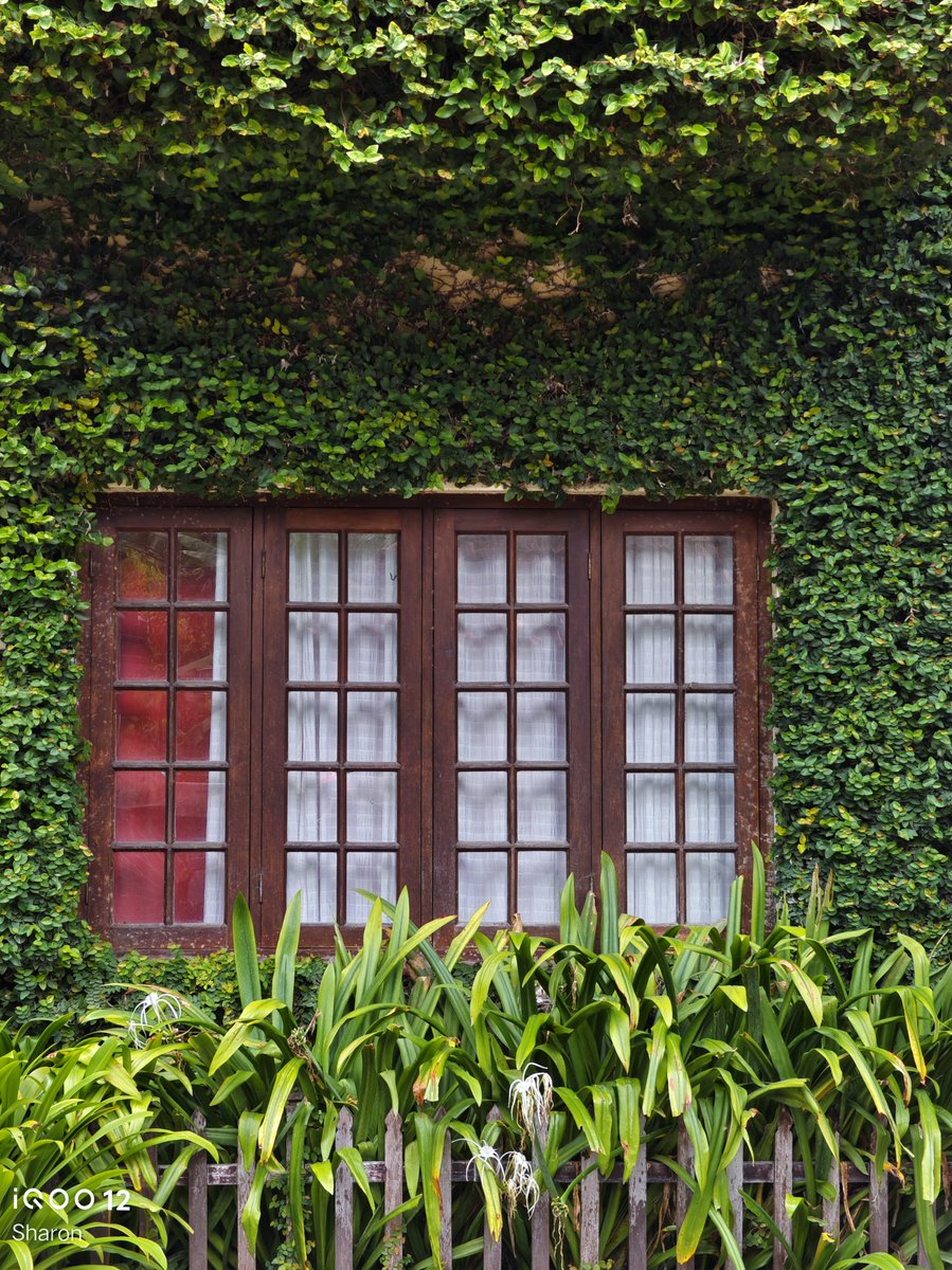 _CodeWizard's tweet image. Explore Fort Kochi with iQOO | Some windows of Fort Kochi | #ShotOniQOO12 📸✨
➡️ Community thread: community.iqoo.com/in/thread/68050
#ShotOniQOO #FeatureMeOnSocial #iQOO #iQOO12
@nipunmarya