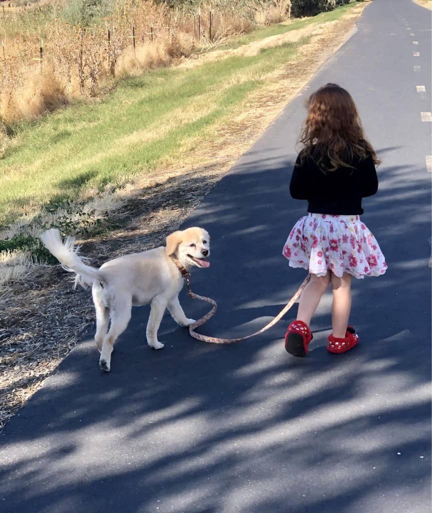 My dog sitter sent me this picture of Zipsie with her daughter and I just 😭