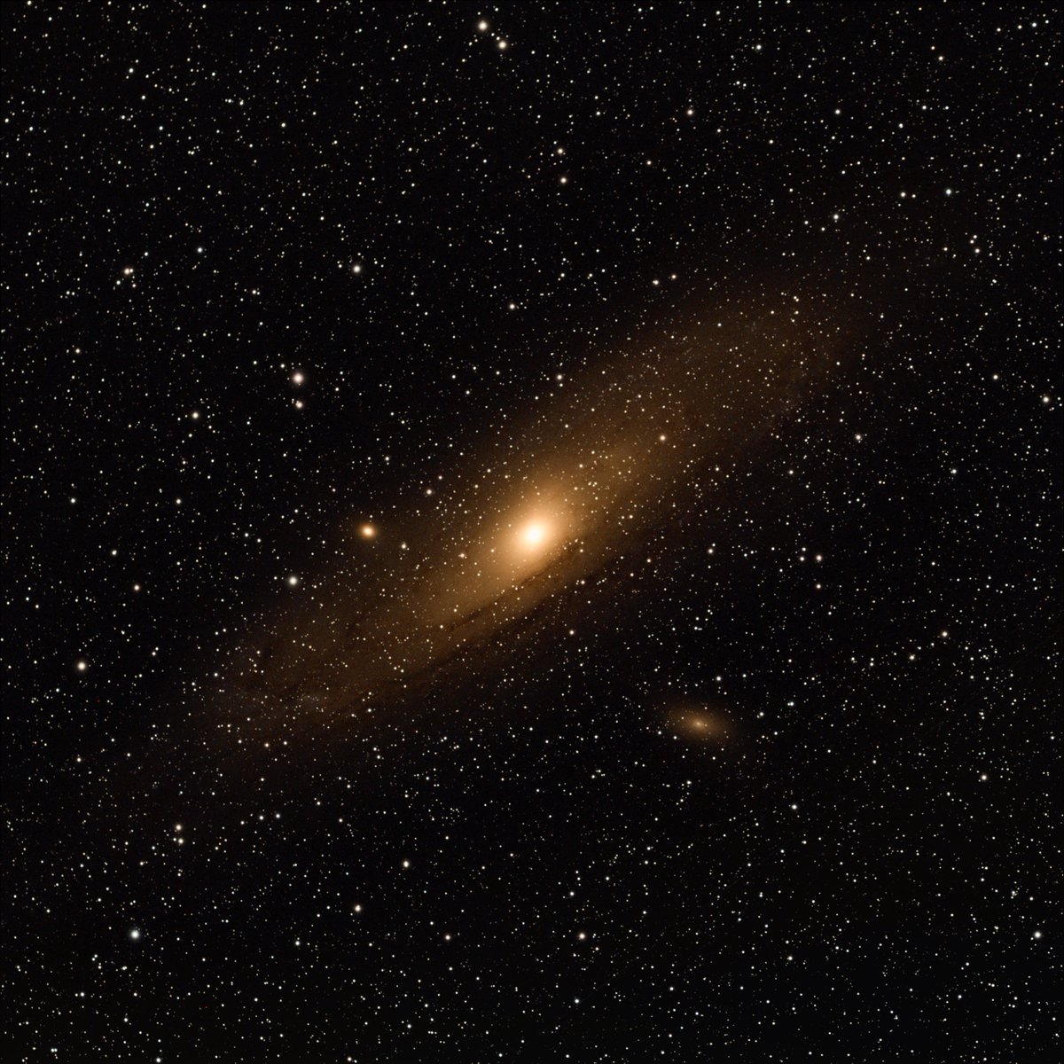 Nick Cano tweet media