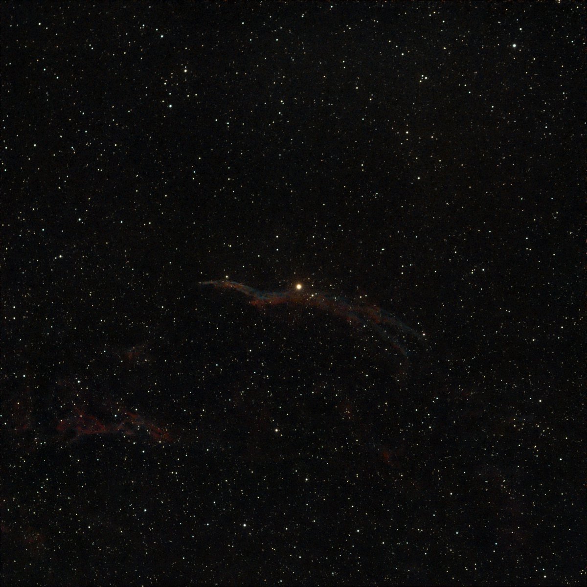 Nick Cano tweet media