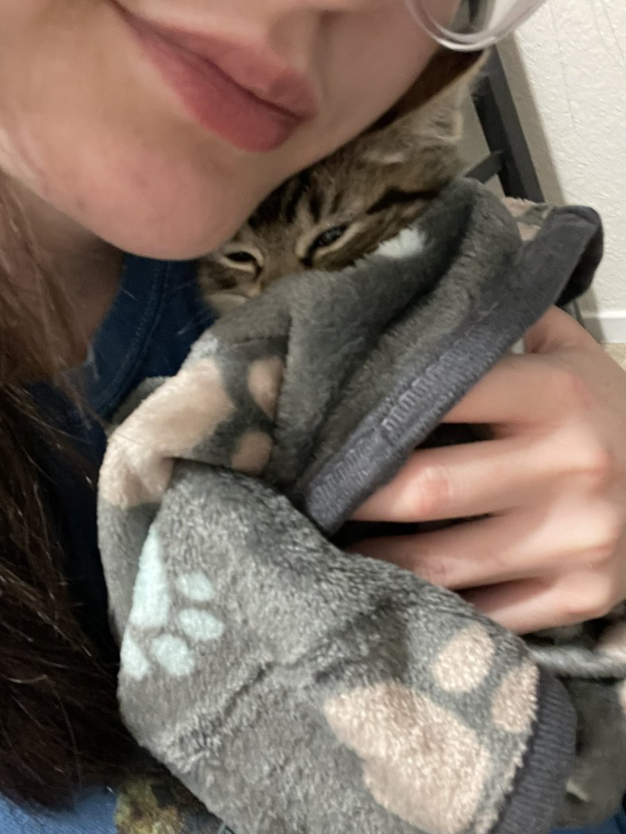 Friends of Bear Cat Rescue tweet media