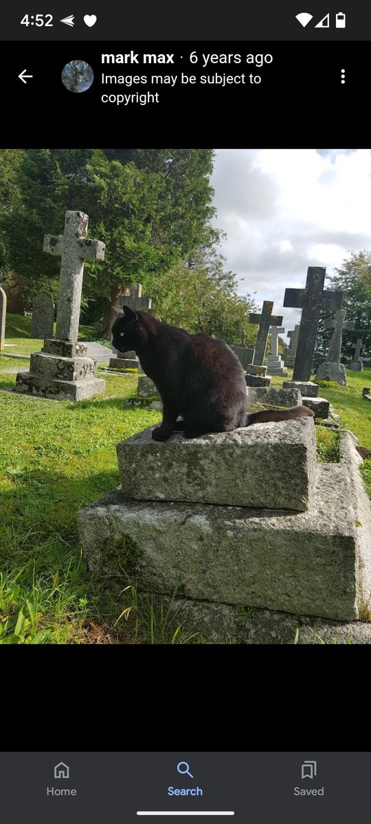 My cat friend, Smokey, is very famous and lives with me.  Search St Mary's church, Limpley Stoke, UK on Google and you will find him.  The church site is over 1000yrs old as a place of worship, 12 Templar stones line the graveyard whispering "perdurabo we will be free".  The