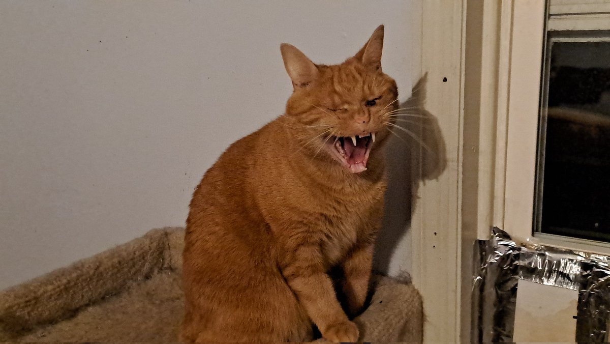 this apps not fun any more!!!
what if i'm run away to the blue skies one insted?!