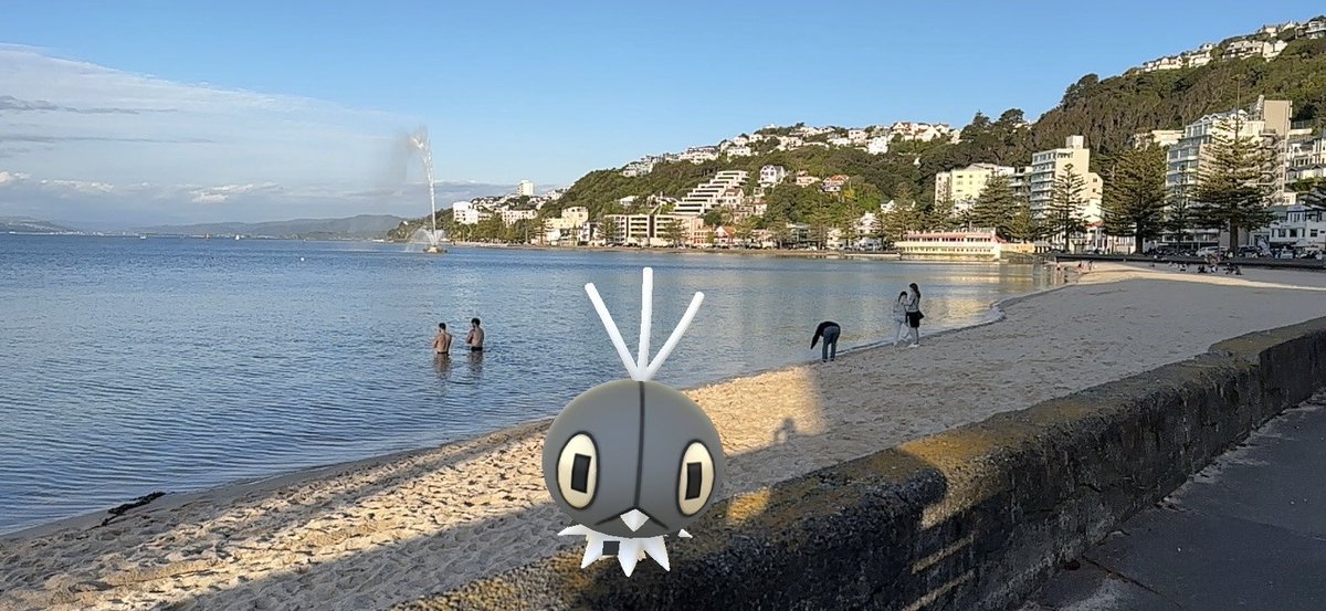 Flseus124 tweet media