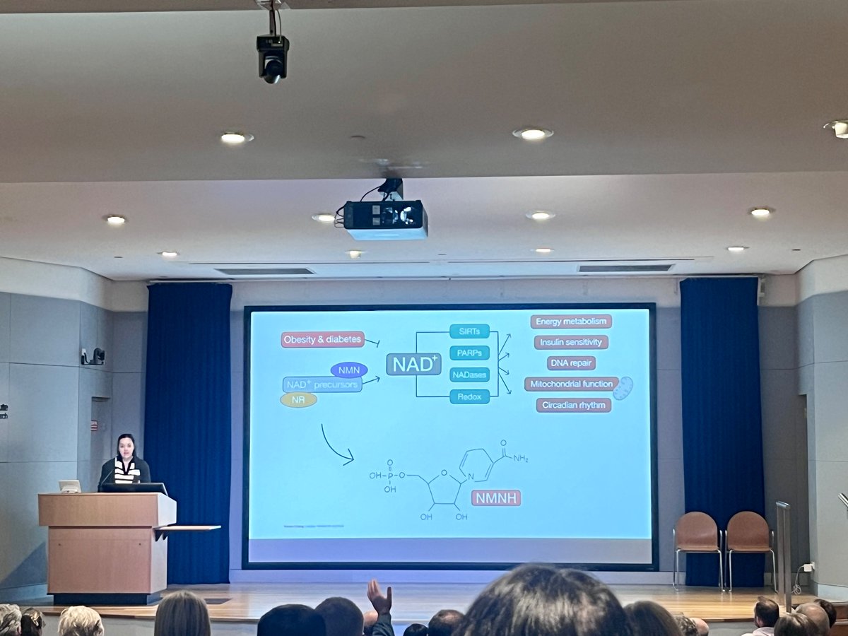 cellbioenerglab's tweet photo. Our PhD student @jasmineleighb14 presenting in the flash talks at the Garvan Cell Signalling Symposium ⚡️ Come visit her poster (# 31) to hear all about the potential of emerging NAD+ precursors! 💊
#WomenInSTEM #GCSS24 https://t.co/PAL98qhYB4