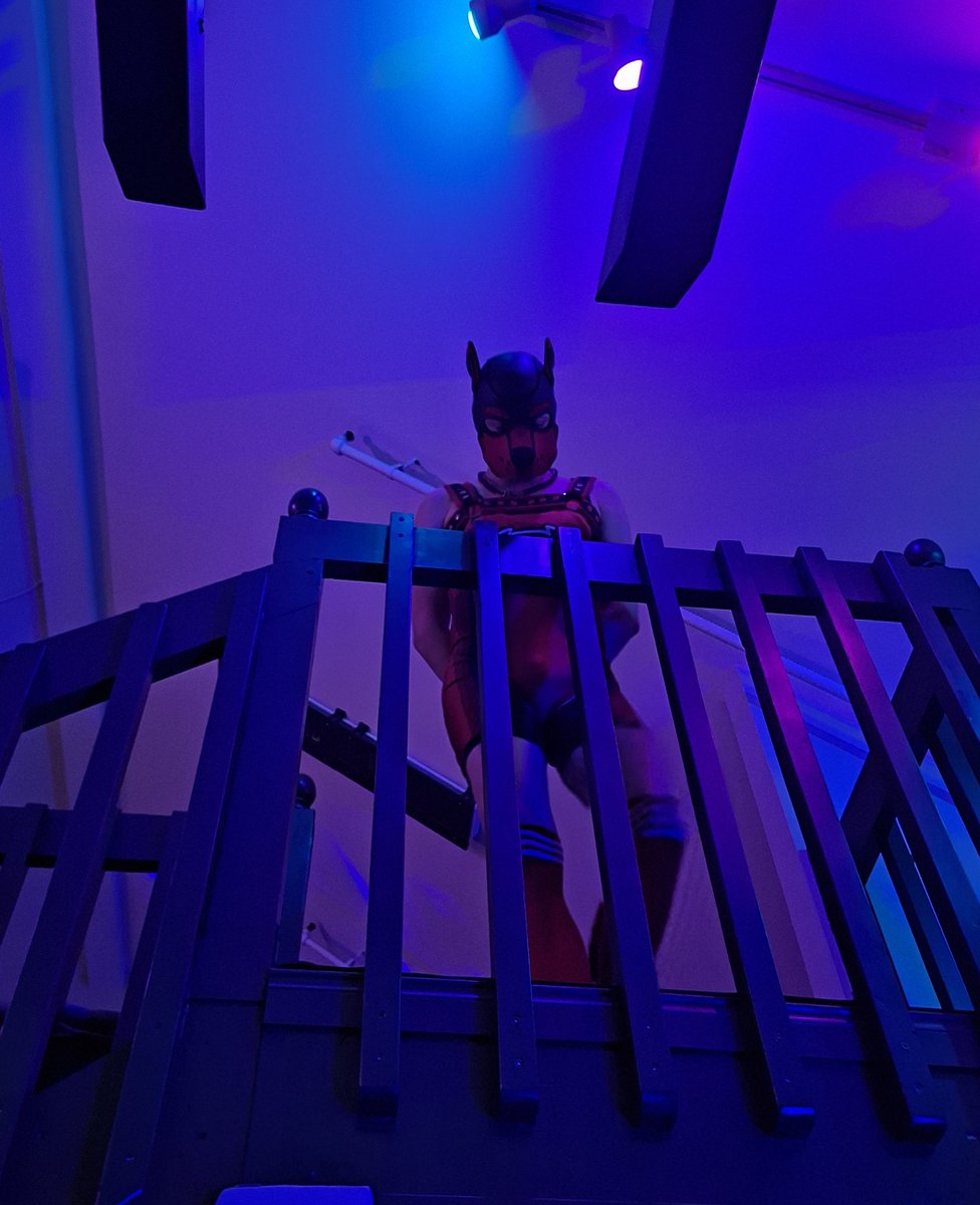 Glow in the dark doggo got caught in some rope, how horrible, someone might take advantage of that :P
I got to share an intimate moment with <a href="/PupStrings/">Pup Strings @ CanFURence!</a> during my first time being tied up
Later on he demanded breeding time. And I mean, you must comply when someone looks like that