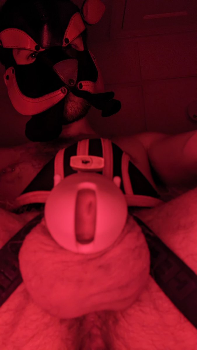 Puppy_Mischief's tweet photo. It's still day 20 somewhere, right?

🩲🔐🧦🎃2️⃣0️⃣ https://t.co/lllStfjRDm