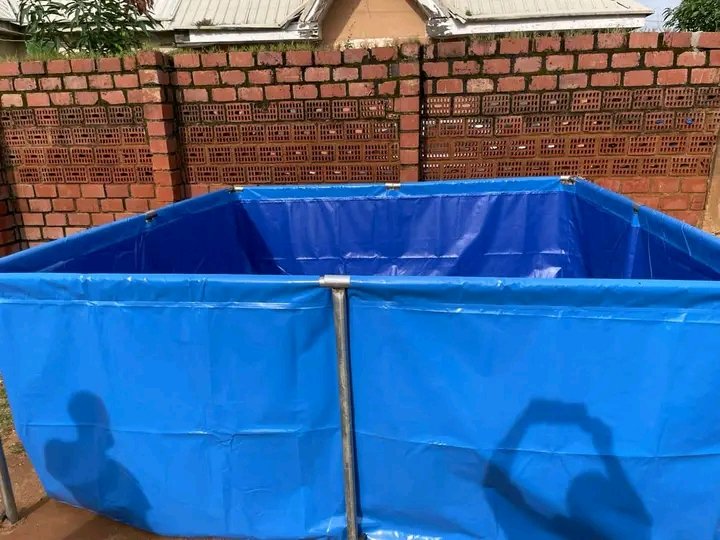 Dara George Of Jos tweet media