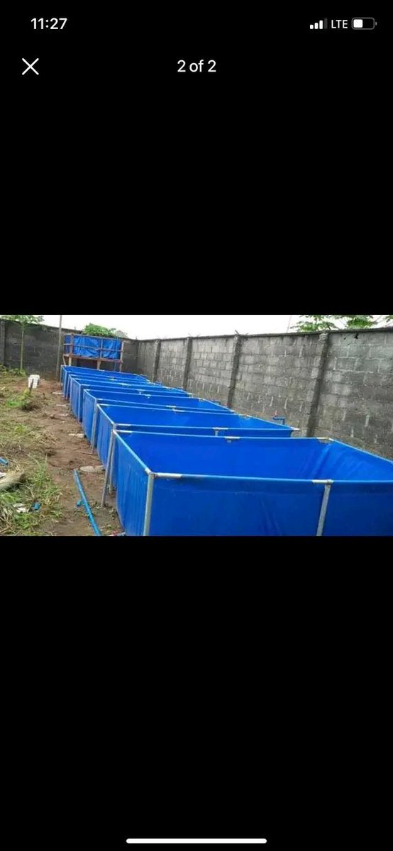 Dara George Of Jos tweet media