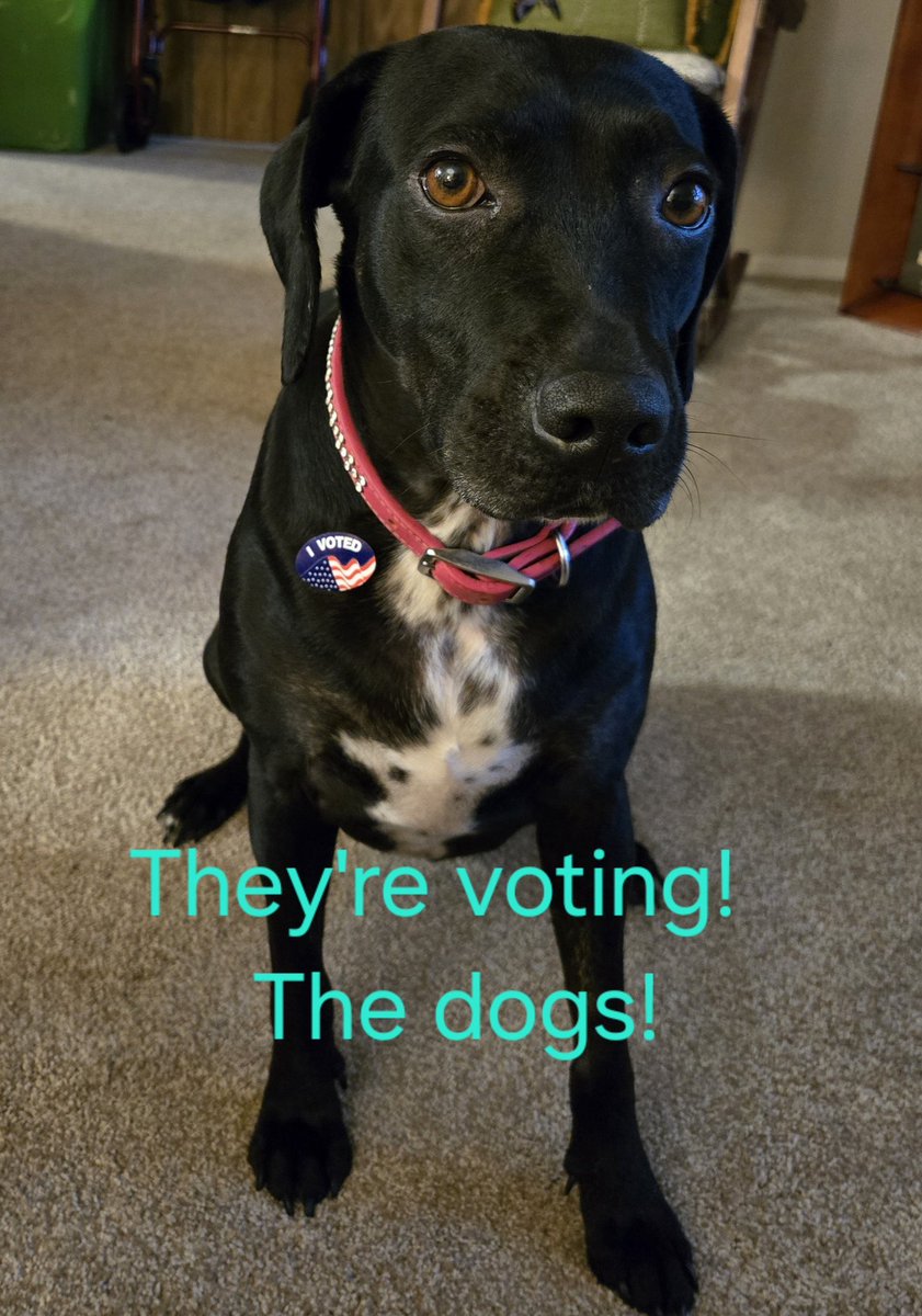 Jҽɳɳιϝҽɾ Sƚαɾƙҽყ tweet media