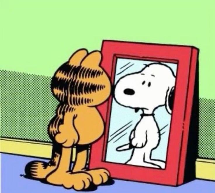 DiloConPerritos's tweet image. Cuando le pones demasiados filtros a tu foto.